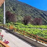 Апартаменты Vetrina Su *