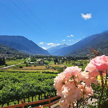 Vetrina Su Appartement